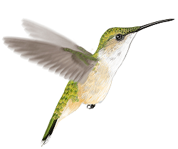 Traveling with music